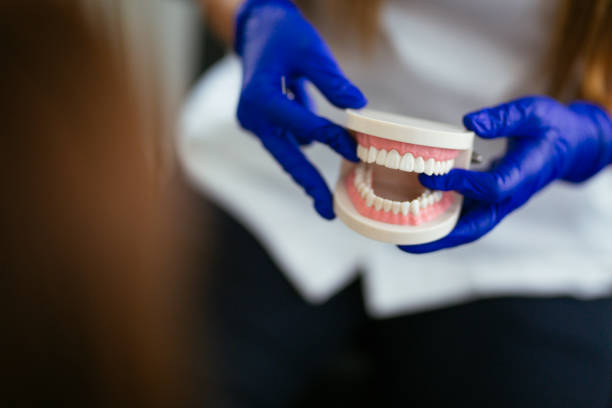 Reliable Garberville, CA Dental Services Solutions